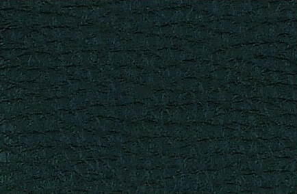 ecopielnegra